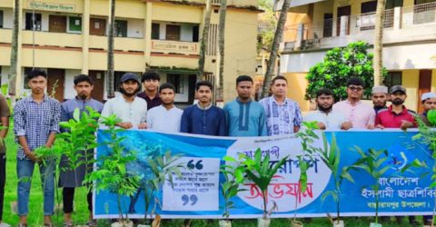 মাসব্যাপী বৃক্ষরোপণ অভিযান–২০২৫
