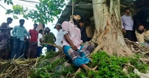 ঝিনাইদহ বাসটার্মিনাল থেকে বটগাছের ডালে ট্রাক ড্রাইভারের ঝুলন্ত লাশ উদ্ধার