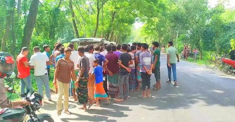 ঝিনাইদহে ট্রাকেরচাপায় এক নারীর মৃত্যু