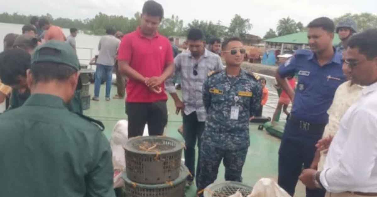 খুলনার কয়রার শাকবাড়ীয়া নদীতে অবমুক্ত করা হলো জব্দকৃত ৭০০ কেজি কাঁকড়া