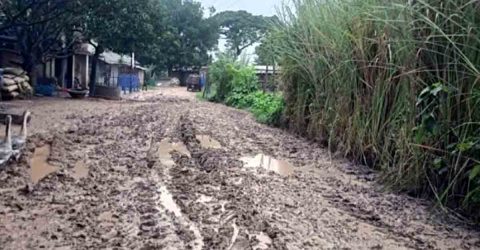 গোমস্তাপুরে চার দশক ধরে জরাজীর্ণ এক কিলোমিটার সড়ক,এলাকাবাসীর চরম দুর্ভোগ