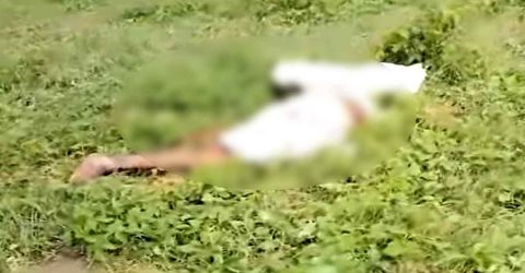 ভাঙ্গায় ট্রেনে কাটা পড়ে এক বৃদ্ধের মৃত্যু