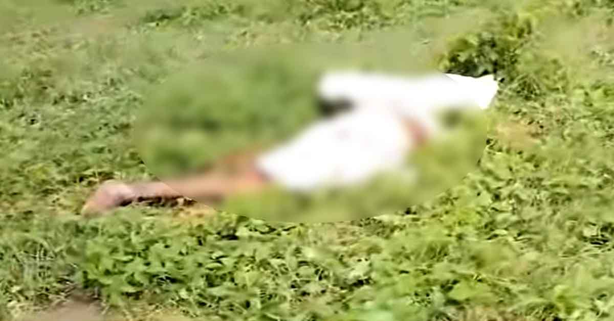 ভাঙ্গায় ট্রেনে কাটা পড়ে এক বৃদ্ধের মৃত্যু