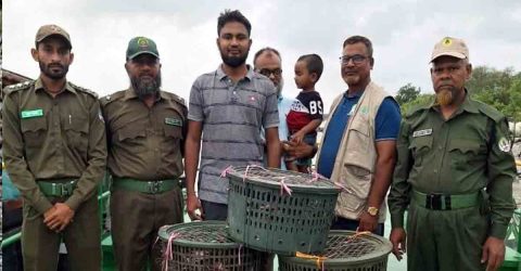 সুন্দরবনে বিশেষ অভিযানে ৫টি নৌকা সহ অবৈধ কাঁকড়া জব্দ