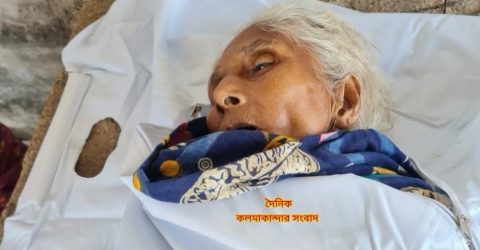 পিকআপের চাপায় বৃদ্ধার মৃত্যু