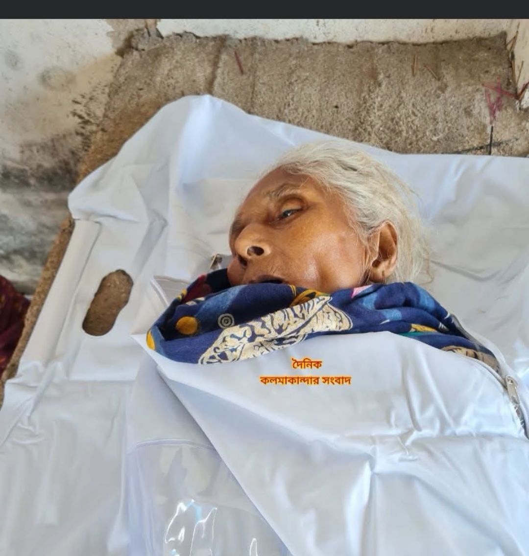 পিকআপের চাপায় বৃদ্ধার মৃত্যু