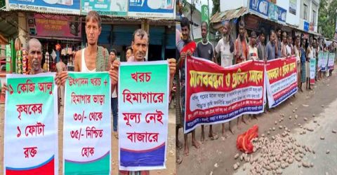 নওগাঁয় আলুর মূল্য নির্ধারণের দাবিতে মানববন্ধন