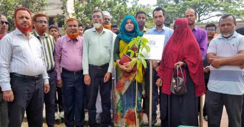ধামইরহাটে শহিদ বায়োজিদ স্মরণে  বৃক্ষ কর্মসূচি অনুষ্ঠিত