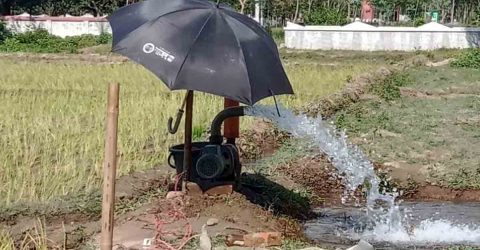 ডোমারে প্রচন্ড তাপদহে রোপা আমন বপন হুমকির মুখে