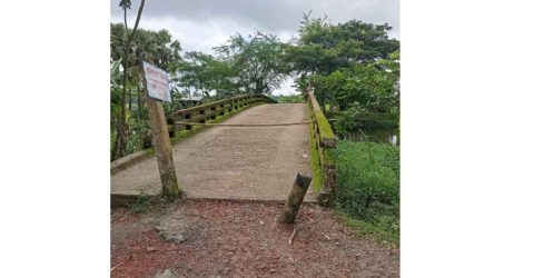 আমতলীর দঃ তক্তাবুনিয়া রহিমিয়া দাখিল মাদ্রাসা সংলগ্ন ব্রিজটি যেন মরন ফাঁদ