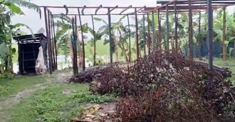 আদালতের রায় অমান্য করে জমি দখল, প্রশাসনের নীরবতা