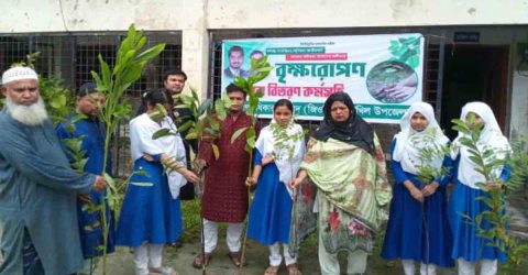 চাটখিলে গণঅধিকার পরিষদের বৃক্ষরোপন কর্মসূচি