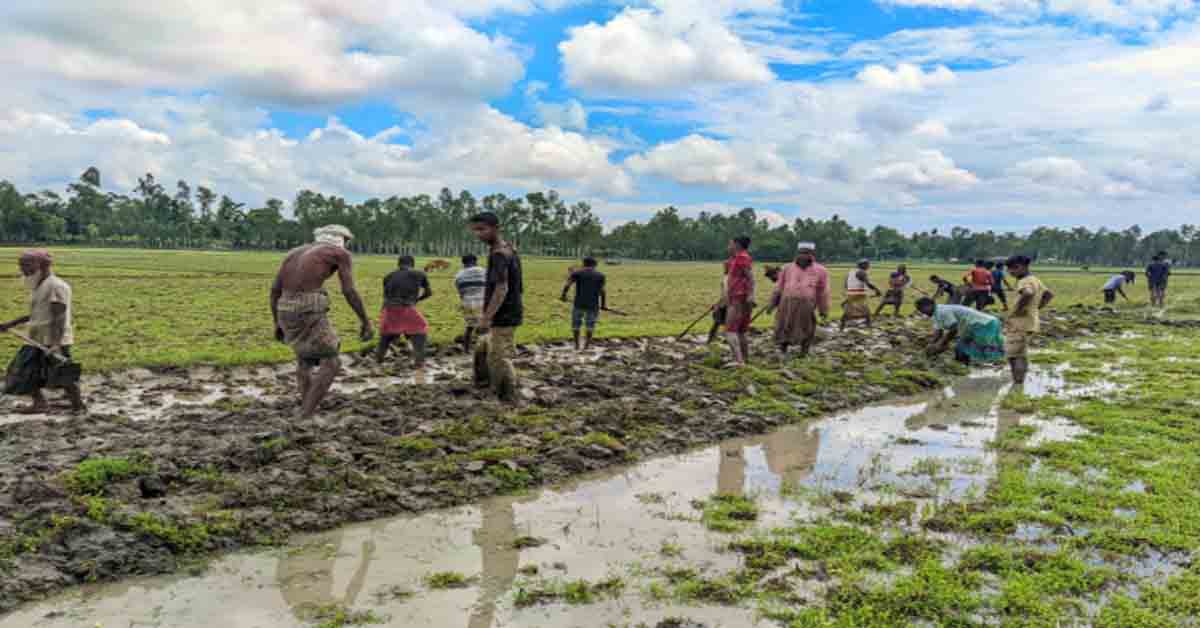 কুড়িগ্রামের নাগেশ্বরীতে পতিত রাস্তা উদ্ধার ও স্বেচ্ছায় সংস্কার