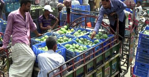 নওগাঁর সাপাহারে প্রথম বারের মতো অনুষ্ঠিত হচ্ছে বাণিজ্যিক আমের “ম্যাংগো ফেস্টিভ্যাল