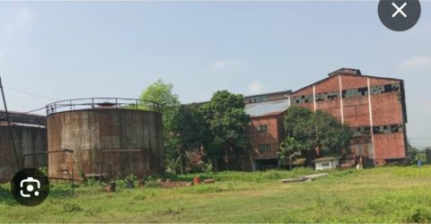 মহিমাগঞ্জ রংপুর চিনিকল পুনরায় চালুর আশ্বাস আর প্রতিশ্রুতি থাকলেও, বাস্তবে নেই দৃশ্যমান কোন অগ্রগতি