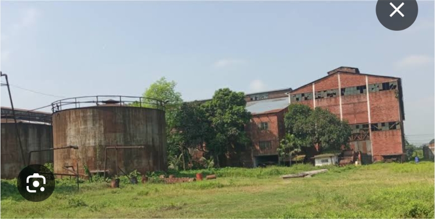 মহিমাগঞ্জ রংপুর চিনিকল পুনরায় চালুর আশ্বাস আর প্রতিশ্রুতি থাকলেও, বাস্তবে নেই দৃশ্যমান কোন অগ্রগতি