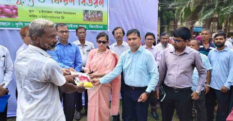 ঝিনাইদহে পেয়াজের আবাদ ও উৎপাদন বৃদ্ধি জন্য ৮৫০ জন কৃষক পেল পেঁয়াজের বীজ ও সার