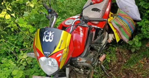 ঝিনাইদহে আলম সাধু -মোটরসাইকেলের সংঘর্ষে এক যুবক নিহত