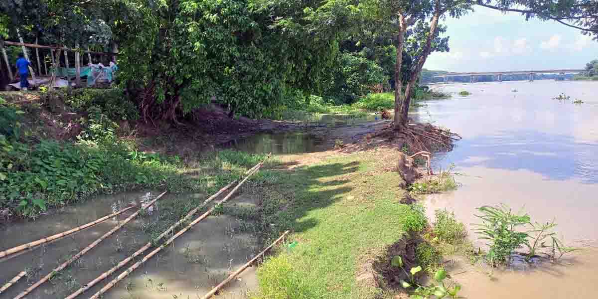মানিক হার থেকে মধুপুর: মধুমতির ভয়াল গ্রাসে হারাচ্ছে গ্রাম ও ঘরবাড়ি