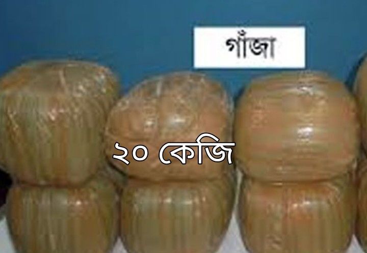 ভাঙ্গায় ২০ কেজি গাঁজা সহ দুই মাদক কারবারি আটক