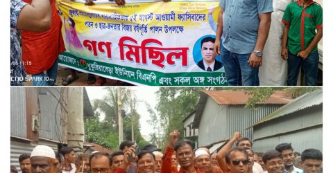 বেলকুচির ধুকুরিয়াবেড়া জুলাই গণঅভ্যুথানে ৫ই আগষ্ট স্বৈরাচার পতন উপলক্ষে বিএনপির গণমিছিল অনুষ্ঠিত