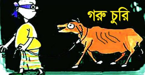 মনোহরদীতে গভীর রাতে গরু চুরি, নিঃস্ব হলেন খামারি জুলহাস মোল্লা