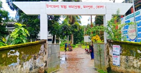 দুই মাসে মনপুরায় সাপের উপদ্রব, তিনজনের মৃত্যু