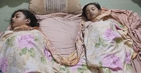 নোয়াখালীতে পুকুরের ঘাটলায় শামুক ধরতে গিয়ে ২ বোনের মৃত্যু