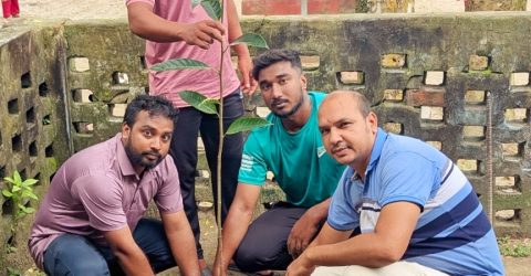 আলোকধারা যুব সংগঠনের উদ্যোগে বৃক্ষরোপন কর্মসূচি অনুষ্ঠিত