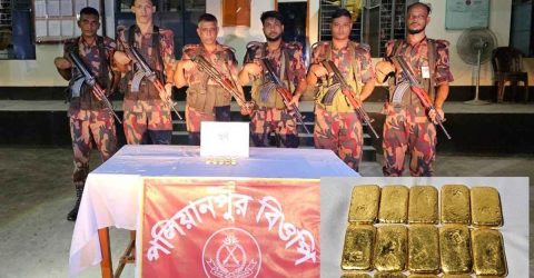 ঝিনাইদহ সীমান্তে আড়াই কোটি টাকা স্বর্ণের বার উদ্ধার করেছে বিজিবি