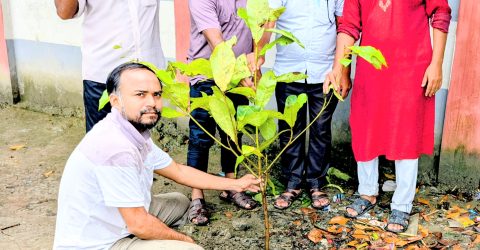 আলোকধারা যুব সংগঠনের উদ্যোগে বৃক্ষরোপন কর্মসূচি অনুষ্ঠিত দ্বিতীয় দিনব্যাপী
