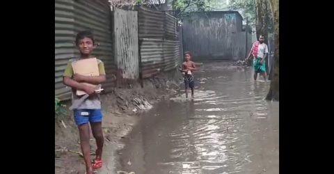 সিরাজগঞ্জের শাহজাদপুর উপজেলার এনায়েতপুরে ব্রাহ্মণ গ্রামের রাস্তা বেহাল, দুর্ভোগে হাজারো মানুষ
