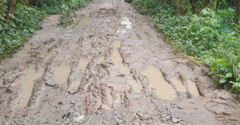 ভাঙ্গায় জরাজীর্ণ সড়ক-যানবাহন চলাচলে গ্রাম্য রাস্তা ভোগান্তি সৃষ্টি