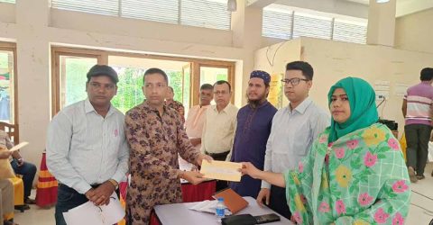 দুর্গাপূজা উপলক্ষে  নাসিরনগরে প্রশাসনের প্রস্তুতিমূলক সভা