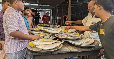 শরীয়তপুরে পদ্মার তীরে টাটকা মাছের বাজার