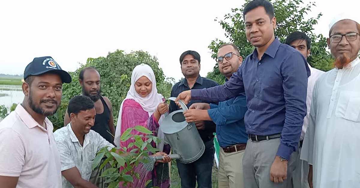 গুরুদাসপুরে  (বি এডিসির)উদ্যোগে  ৫ হাজার বৃক্ষরোপণ