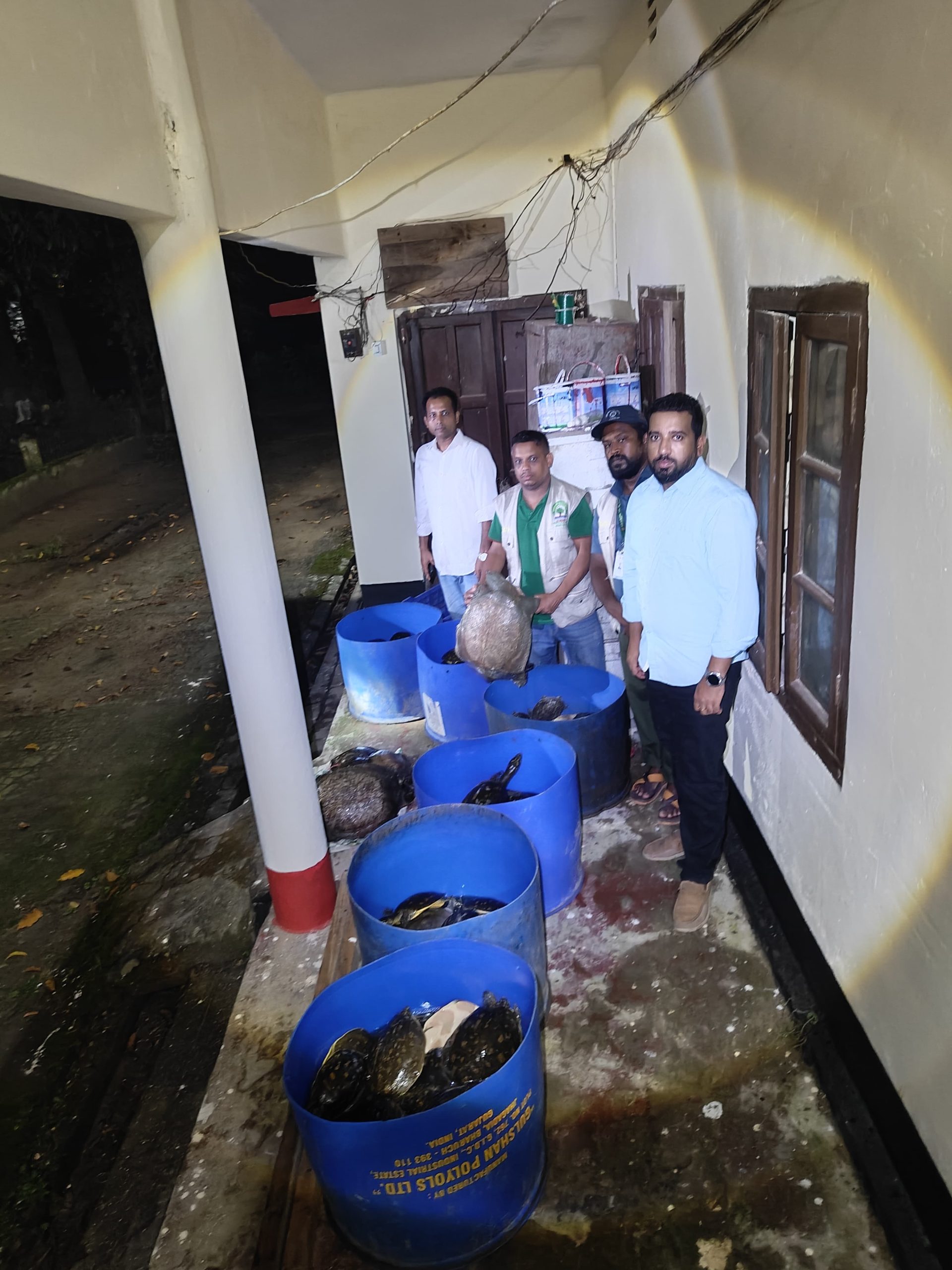 নোয়াখালীতে ৪২৫ কচ্ছপ উদ্ধার