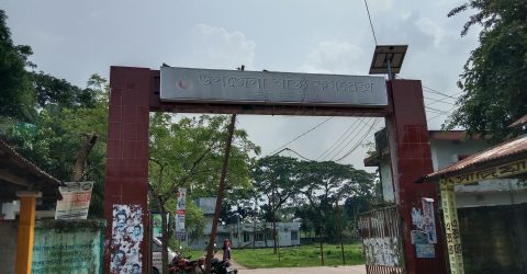 কেন্দুয়ায় টাইফয়েড টিকাদান ক্যাম্পেইন, শিশুর লক্ষ্যমাত্রা ৯০৬৮৫ জন