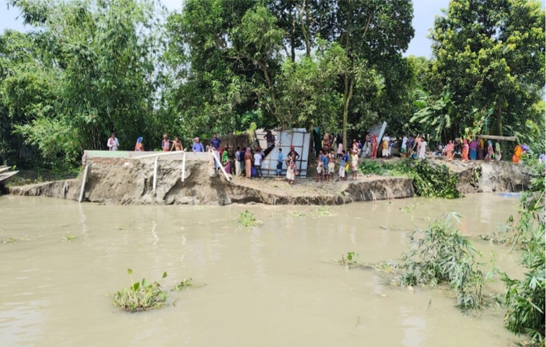 সিরাজগঞ্জের এনায়েতপুরের সদিয়া চাঁদপুরের যমুনার তীব্র ভাঙন: ঘরবাড়ি ও শিক্ষা প্রতিষ্ঠান হুমকিতে