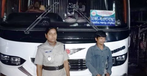 পলাশবাড়ীতে  গাঁজাসহ যুবক আটক