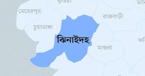 ঝিনাইদহের মহেশপুর সীমান্ত দিয়ে ভারতে প্রবেশের আটক ১০