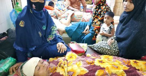 বরগুনায় জমি সংক্রান্ত বিরোধের জেরে সন্ত্রাসীদের হামলায় নারীসহ আহত ৪