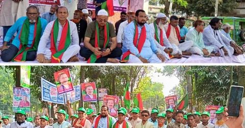 নাসির নগরে বর্ণাঢ্য আয়োজনে যুবদলের ৪৭ তম প্রতিষ্ঠা বার্ষিকী অনুষ্ঠিত,