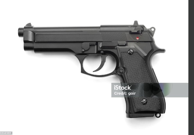 ফরিদপুরে লুন্ঠিত অস্ত্র ও গোলাবারুদ উদ্ধারে পুরস্কার ঘোষণা, থানাগুলোকে ব্যাপক প্রচারের নির্দেশ