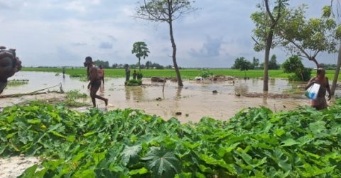 উলিপুরে তিস্তার বন্যার আশঙ্কা, ঘরবাড়িতে পানি প্রবেশ