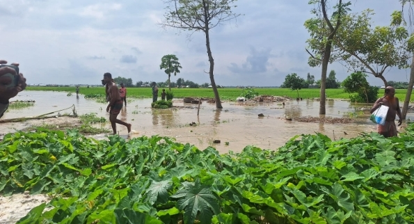 উলিপুরে তিস্তার বন্যার আশঙ্কা, ঘরবাড়িতে পানি প্রবেশ