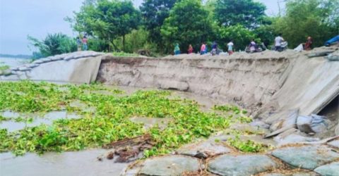 গাইবান্ধা সুন্দরগঞ্জে তিস্তায় তীব্র ভাঙন ঝুঁকিতে শতাধিক বসতবাড়ি