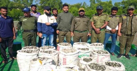 শ্যামনগরে ৮৬০ কেজি শামুক উদ্ধার করল বনবিভাগ