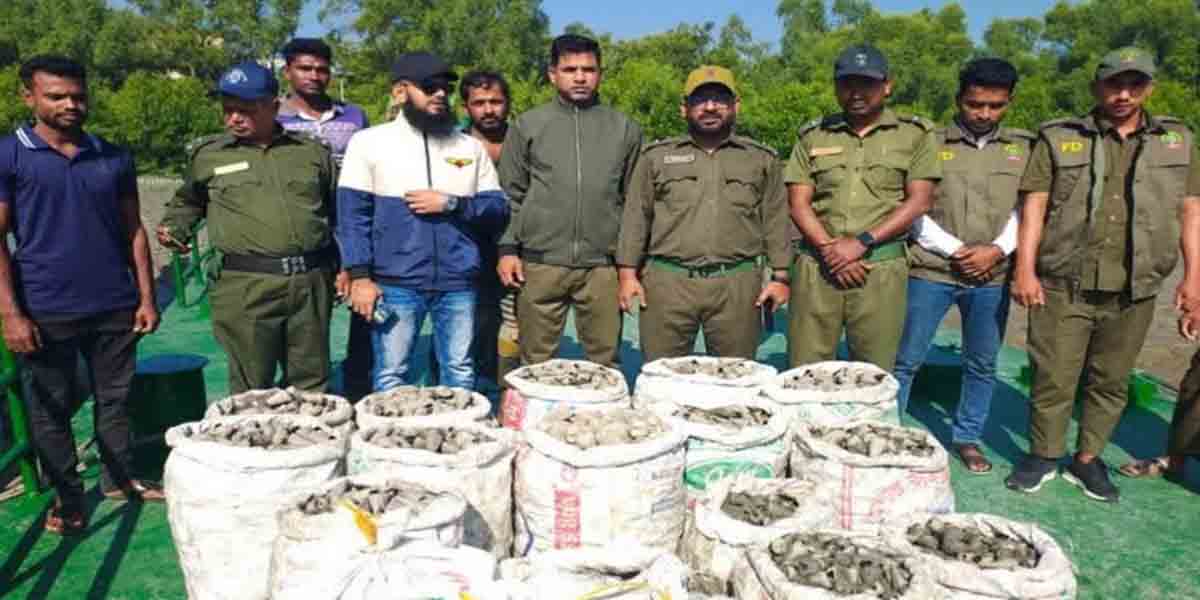 শ্যামনগরে ৮৬০ কেজি শামুক উদ্ধার করল বনবিভাগ