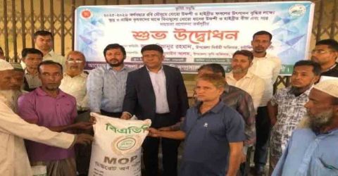 চাটখিলে বীজ ও সার বিতরণ কর্মসূচি উদ্বোধন